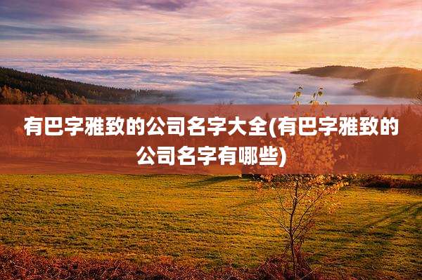 有巴字雅致的公司名字大全(有巴字雅致的公司名字有哪些)