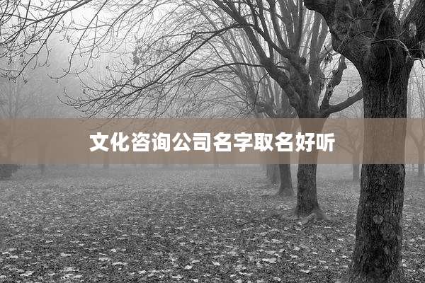 文化咨询公司名字取名好听