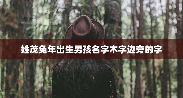 姓茂兔年出生男孩名字木字边旁的字