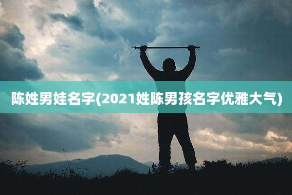 陈姓男娃名字(2021姓陈男孩名字优雅大气)