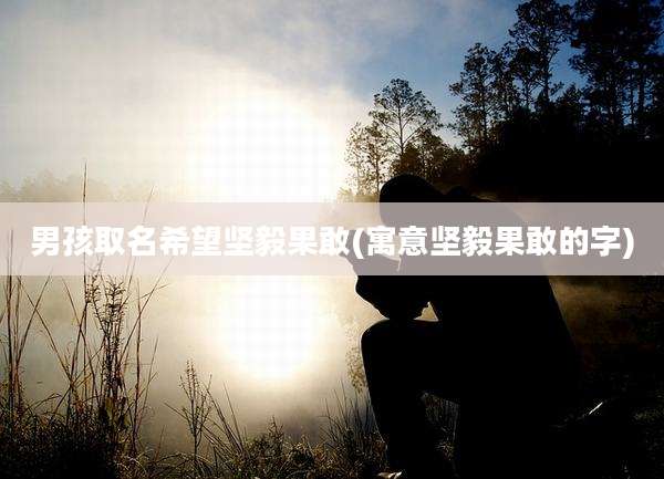 男孩取名希望坚毅果敢(寓意坚毅果敢的字)