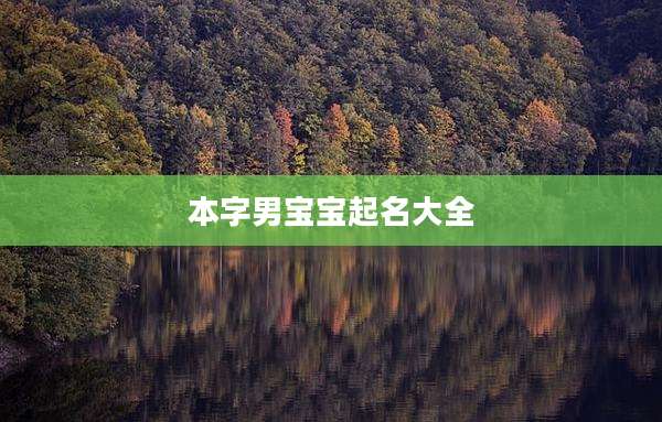 本字男宝宝起名大全