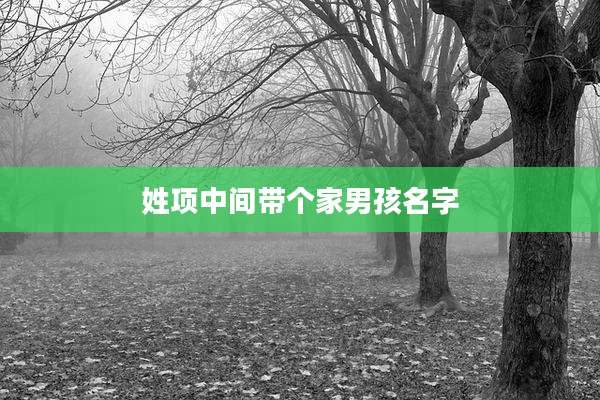 姓项中间带个家男孩名字