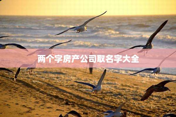 两个字房产公司取名字大全