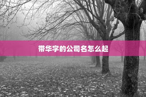 带华字的公司名怎么起