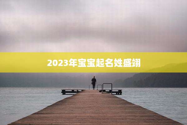 2023年宝宝起名姓盛翊