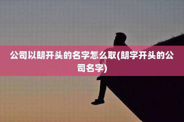 公司以朗开头的名字怎么取(朗字开头的公司名字)