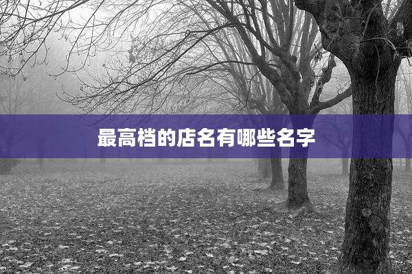 最高档的店名有哪些名字