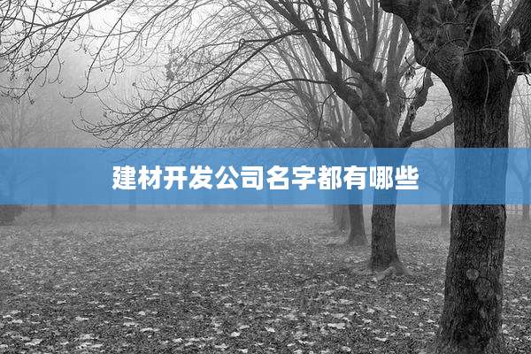建材开发公司名字都有哪些