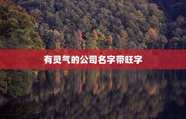 有灵气的公司名字带旺字
