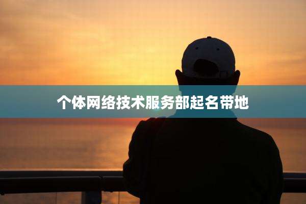 个体网络技术服务部起名带地