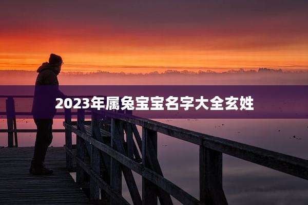 2023年属兔宝宝名字大全玄姓