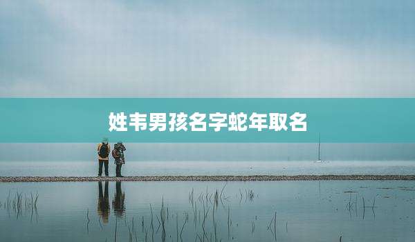 姓韦男孩名字蛇年取名