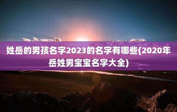 姓岳的男孩名字2023的名字有哪些(2020年岳姓男宝宝名字大全)