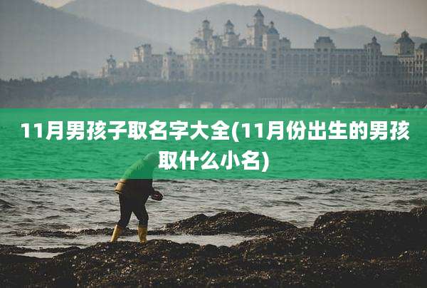 11月男孩子取名字大全(11月份出生的男孩取什么小名)