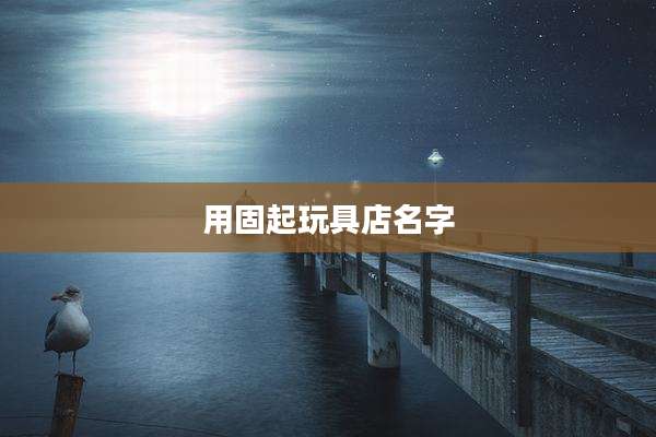 用固起玩具店名字