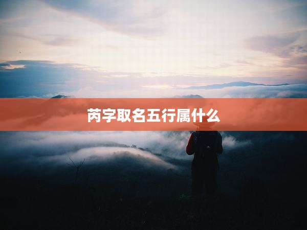芮字取名五行属什么