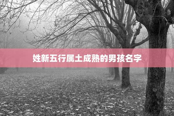 姓新五行属土成熟的男孩名字
