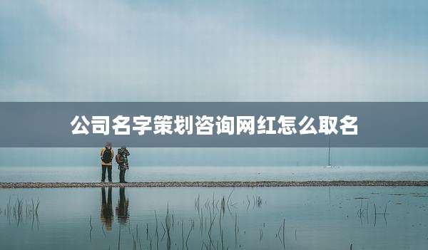 公司名字策划咨询网红怎么取名