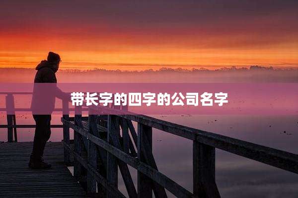 带长字的四字的公司名字