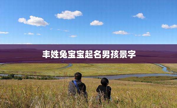 丰姓兔宝宝起名男孩景字