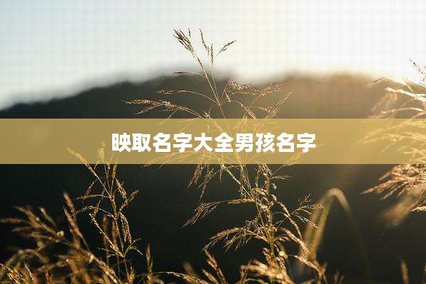 映取名字大全男孩名字