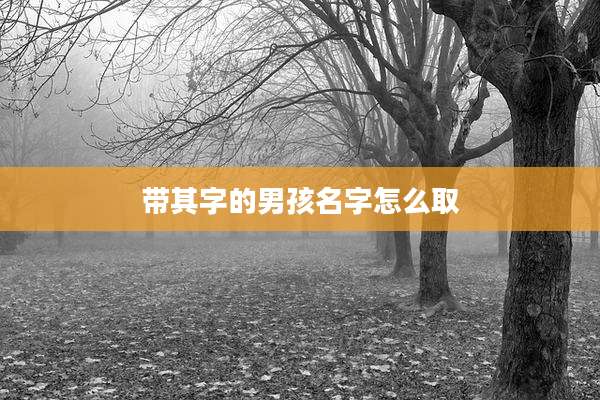 带其字的男孩名字怎么取