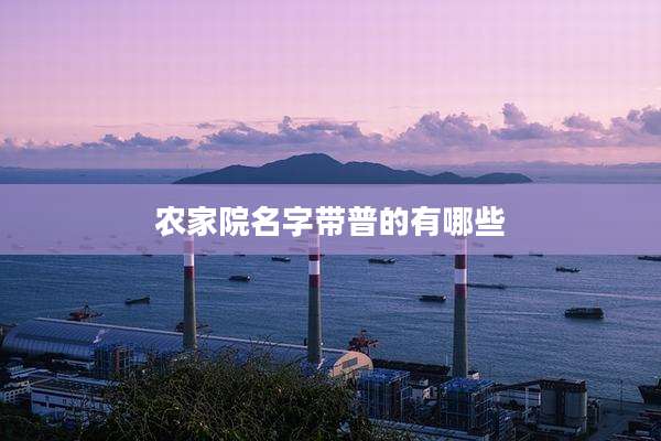 农家院名字带普的有哪些