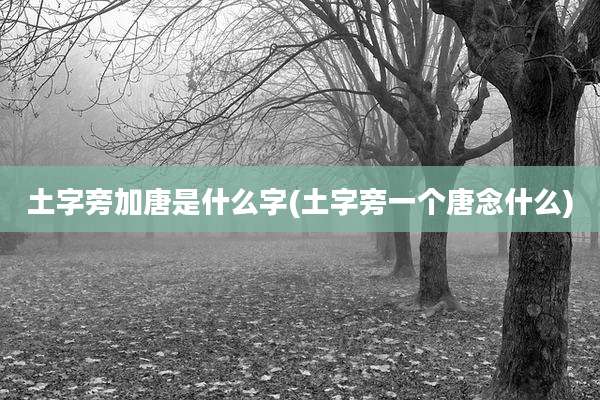 土字旁加唐是什么字(土字旁一个唐念什么)