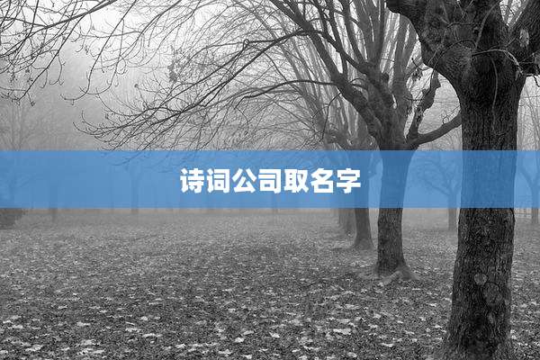 诗词公司取名字