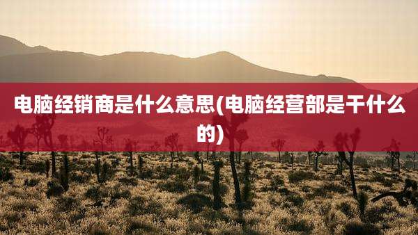 电脑经销商是什么意思(电脑经营部是干什么的)