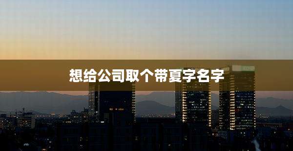想给公司取个带夏字名字
