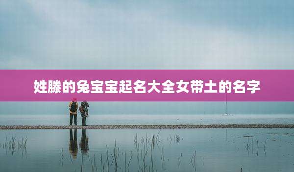 姓滕的兔宝宝起名大全女带土的名字
