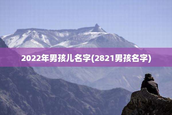 2022年男孩儿名字(2821男孩名字)