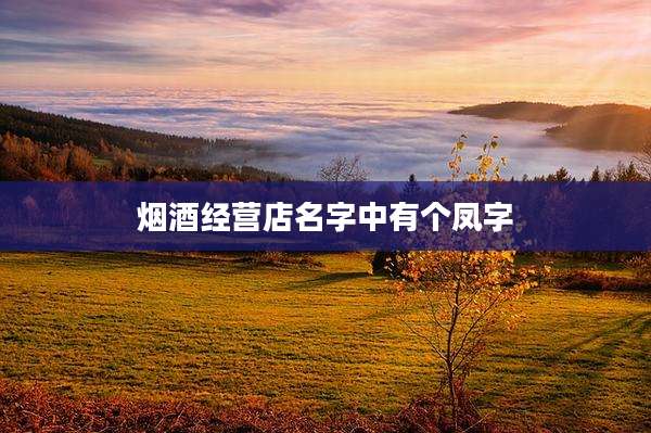 烟酒经营店名字中有个凤字