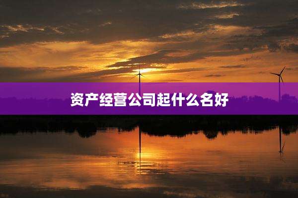资产经营公司起什么名好