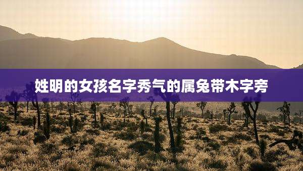 姓明的女孩名字秀气的属兔带木字旁