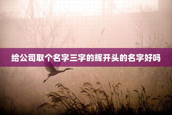 给公司取个名字三字的辉开头的名字好吗