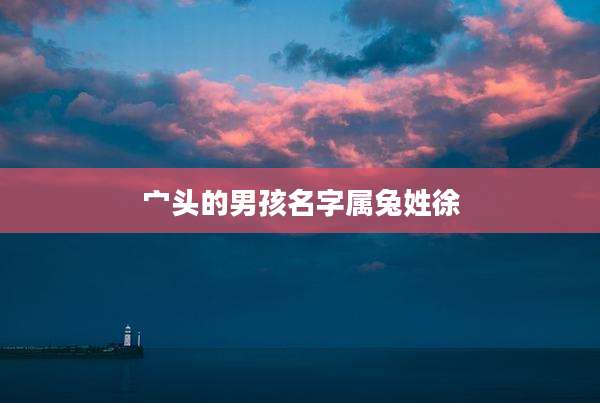 宀头的男孩名字属兔姓徐