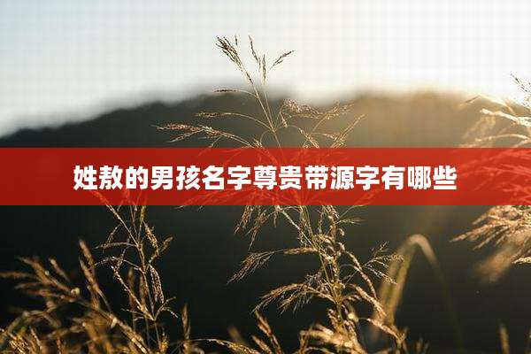 姓敖的男孩名字尊贵带源字有哪些