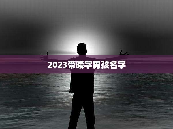 2023带曦字男孩名字