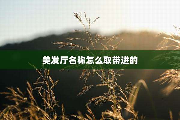 美发厅名称怎么取带进的