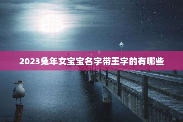 2023兔年女宝宝名字带王字的有哪些