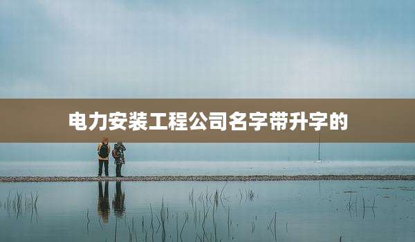 电力安装工程公司名字带升字的