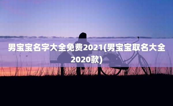 男宝宝名字大全免费2021(男宝宝取名大全2020款)