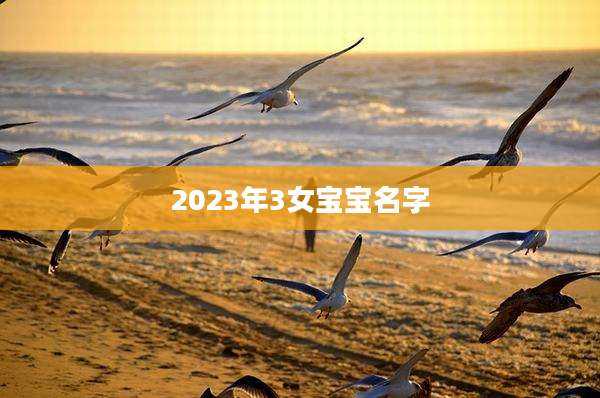 2023年3女宝宝名字