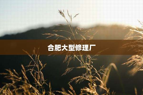 合肥大型修理厂