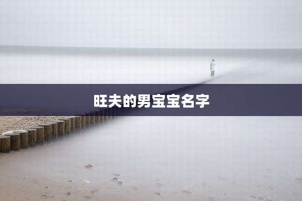 旺夫的男宝宝名字