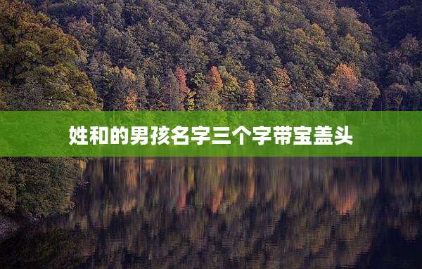 姓和的男孩名字三个字带宝盖头