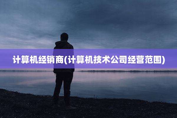 计算机经销商(计算机技术公司经营范围)